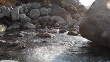 Bahar dağ ormanları Kulu vadinin, Himalayalar