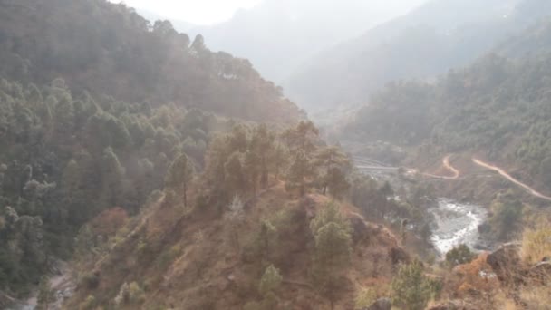 Lasy górskie wiosna Dolina Kulu, Himalaje — Wideo stockowe