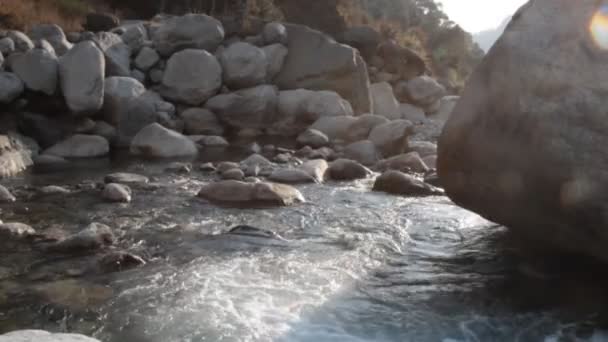 喜马拉雅山 Kulu 河谷的春季山地森林 — 图库视频影像