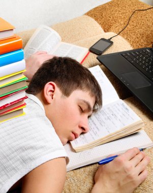 Bir kitap ile öğrenci uyku