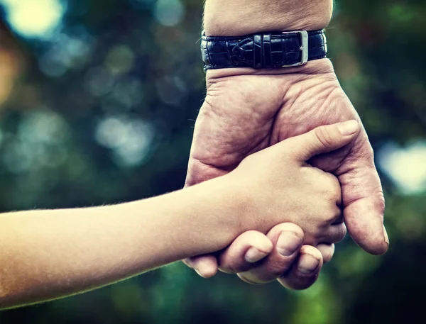 Adult and Kid Hands — Stock Photo, Image