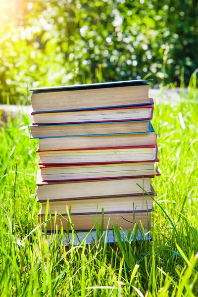 Boeken op het gras — Stockfoto