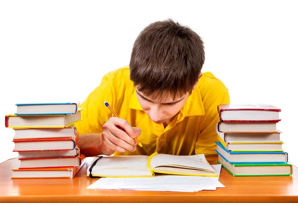 Studente con i libri — Foto Stock