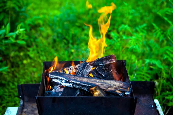 Oheň v koši — Stock fotografie