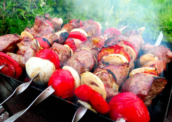 Gotowanie snish kebab — Zdjęcie stockowe