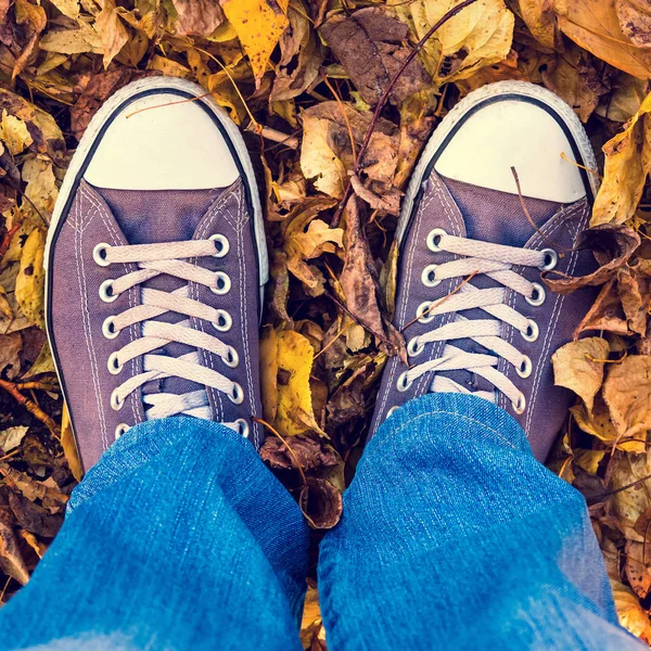 Benen op de herfst bladeren — Stockfoto