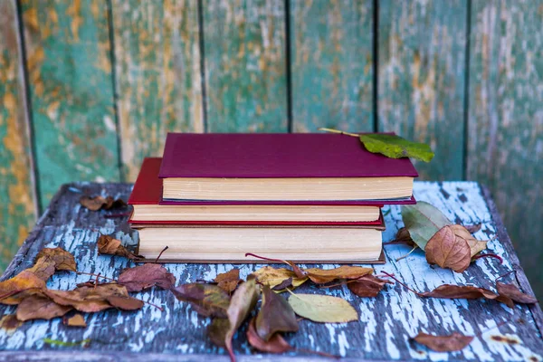 Pile of Books — Stock Photo, Image