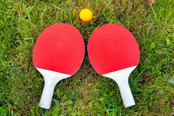 Table Tennis Kit Στο Κοντινό Grass — Φωτογραφία Αρχείου