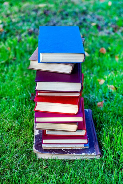 Pilha Dos Livros Antigos Grama — Fotografia de Stock