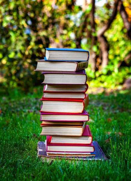 Stapel Van Oude Boeken Het Gras — Stockfoto