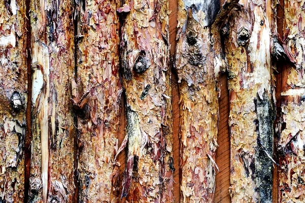 Old Pine Wood Fence Για Κοντινό Φόντο — Φωτογραφία Αρχείου