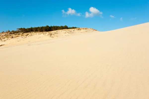 Den stora sanddynen i Pyla — Stockfoto