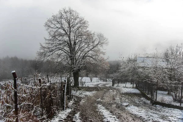 Winterochtend in bergdorp — Stockfoto