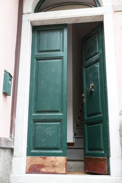 Πράσινη πόρτα με μπρούτζινα χερούλια στο παρασκήνιο πέτρινο τοίχο. δειγμένο στυλ — Φωτογραφία Αρχείου