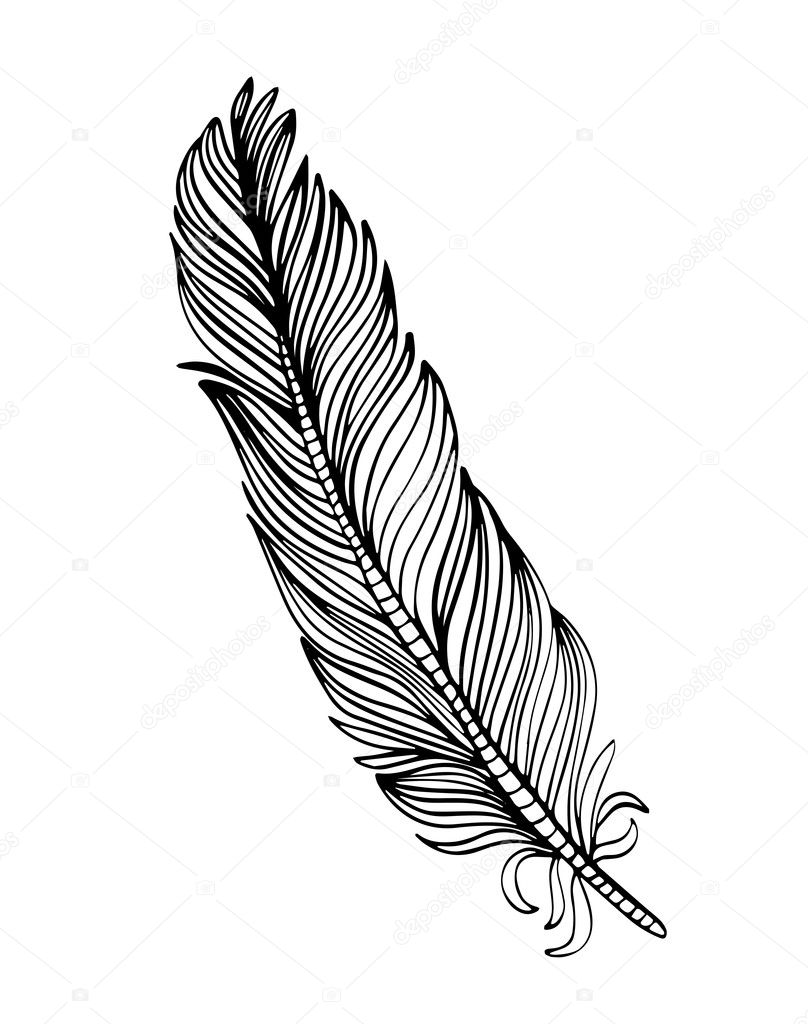Hand drawn ornamental feather, line art, zentangle inspired vector