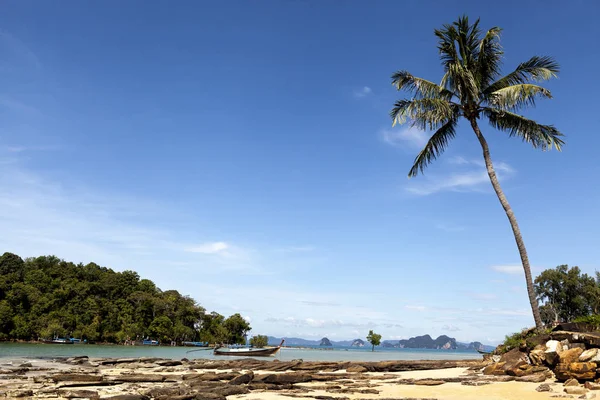 Schöner Sandstrand mit Palmen und blauem Himmel. krabi thailand. — Stockfoto