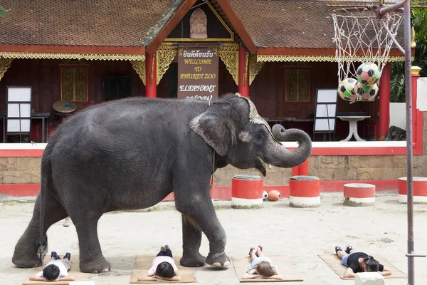 Una serie di immagini multiple elefante indiano passi sopra sdraiato a terra i bambini. Spettacolo di circo Tailandia, Phuket . — Foto Stock