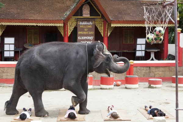 Una serie de imágenes múltiples elefante indio pasos sobre tumbado en el suelo los niños. Espectáculo de circo Tailandia, Phuket . — Foto de Stock