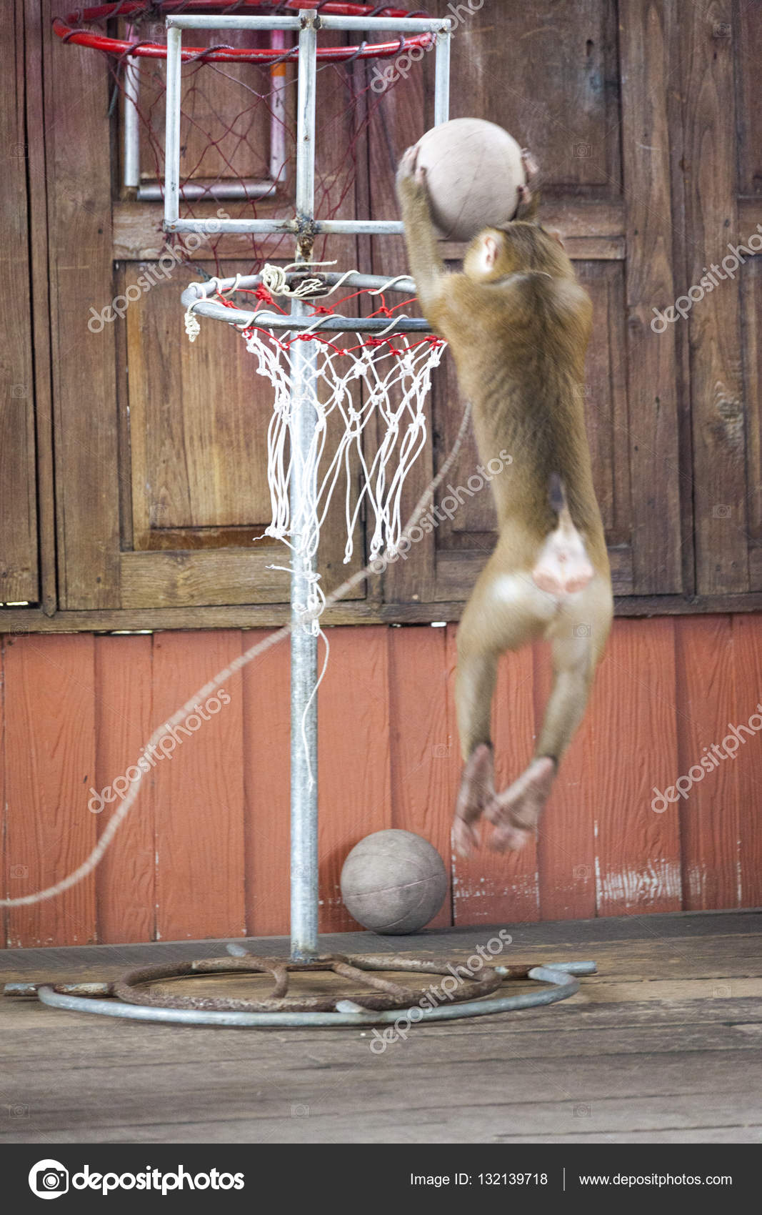 Jogador brasileiro é chamado de macaco durante jogo de basquete na