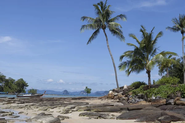 Sand Beach with coconut trees. Thailand Phuket. — Stock Photo, Image