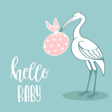 Bebek varış kartı ile leylek
