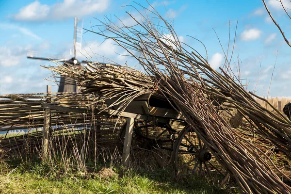 Bellissimo paesaggio rurale, recinzione, campo, mulino a vento mulino a vento olandese . — Foto Stock
