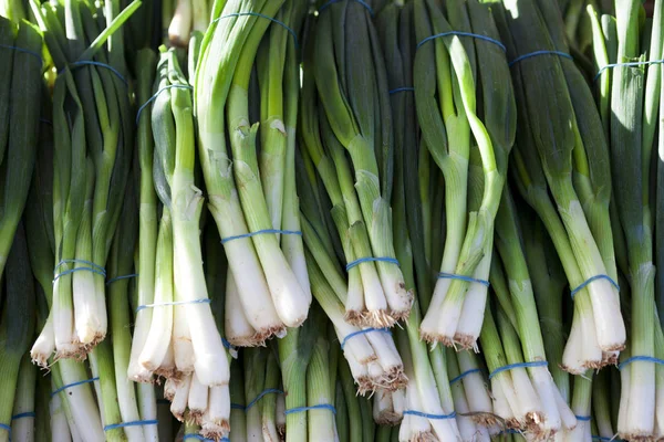 Green onions, fresh bundles lay on the counter of a village market. — Stock Photo, Image