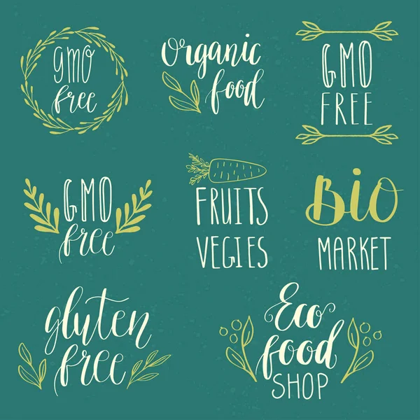 エコ、自然、完全菜食主義者、バイオ食品ロゴ。手書きレタリングします。ラベルやロゴ、バッジ、ステッカーやアイコンのベクトルの要素。書道とタイポグラフィのコレクション. — ストックベクタ