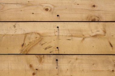 Eski bir kavak kurulların arka plan. Güzel doku ahşap desen. Laminat, duvar kağıdı, mobilya, mobilya cephe imalatı için büyük arka plan