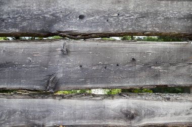 Büyük, karanlık, eski ahşap plakalar ile yeşil çim. Organik restoran için menüsünden. Broşürler, şarap listeleri, menüler, iş yemeği için arka plan.