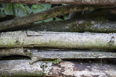 Büyük, karanlık, eski ahşap plakalar ile yeşil çim. Organik restoran için menüsünden. Broşürler, şarap listeleri, menüler, iş yemeği için arka plan.