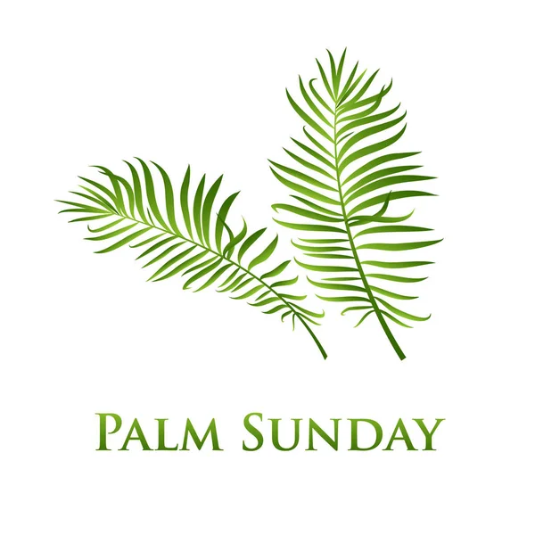 Palm leafs vector icon. Vector illustration for the Christian holiday Palm Sunday — Stock Vector