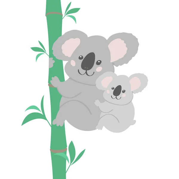 Vetor ilustração família koala — Vetor de Stock