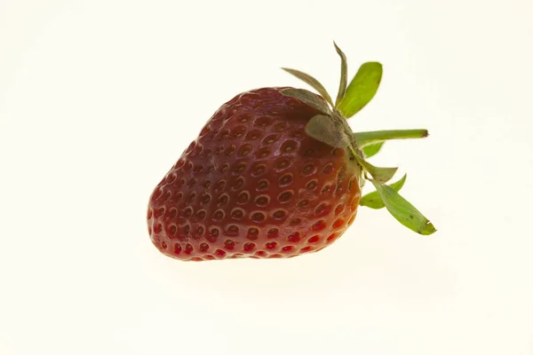 Fraises aux baies gros plan sur fond blanc . — Photo