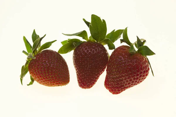 Juicy berries of a ripe strawberry on a white background. — Stock Photo, Image