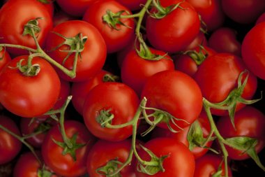 Olgun lezzetli kırmızı domates. Köy pazarı organik domates. Taze domates. Nitel arka plan domates.