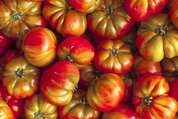 Red and green, and brown tomatoes on the market of Sicily.Ripe tasty red tomatoes. Village market organic tomatoes. Fresh tomatoes. Qualitative background from tomatoes.