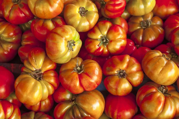 Červené a zelené a hnědé rajčata na trhu Sicily.Ripe chutná červená rajčata. Vesnice trh bio rajčata. Čerstvá rajčata. Kvalitativní pozadí z rajčat. — Stock fotografie