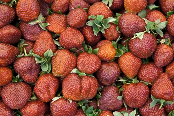 Frische Erdbeeren auf einem Dorfmarkt. reife saftige Erdbeeren Nahaufnahme. toller Hintergrund für ein Etikett Marmelade, Beerenmarmelade, Erdbeersaft, Obstwein — Stockfoto