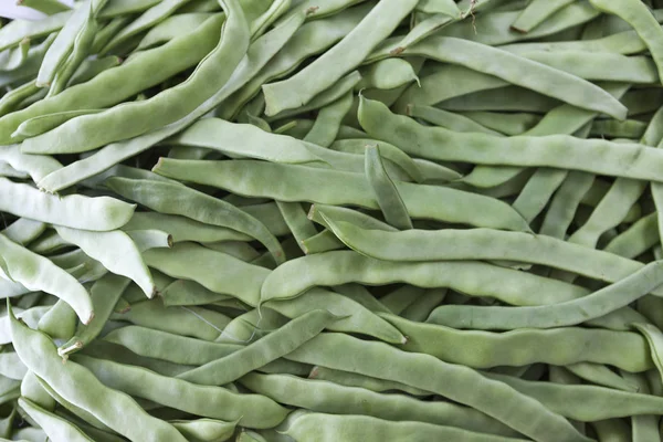 Frijoles verdes de cerca en el mercado de la aldea. Países Bajos . —  Fotos de Stock