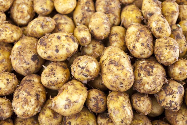 Fresh potato close up at the village market . Greece. — Stock Photo, Image