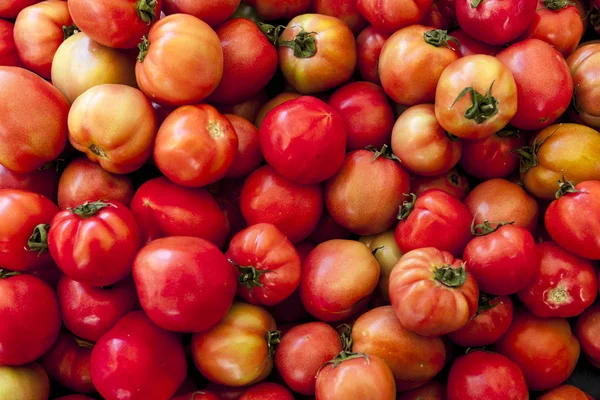 Tomates rojos. Mercado de pueblo de tomates ecológicos. Tomates frescos. Antecedentes cualitativos de tomates . —  Fotos de Stock