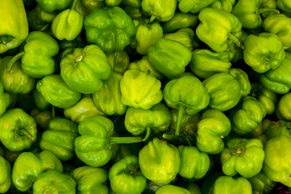 Pimienta jalapeña verde caliente primer plano . —  Fotos de Stock
