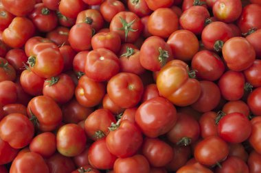 Taze domates. Kırmızı domates. Köy pazarı organik domates. Nitel arka plan domates.