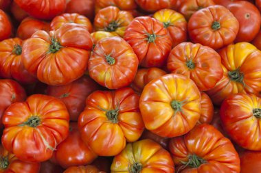 Köy pazarı organik domates. Nitel arka plan domates. Taze domates. Kırmızı domates.