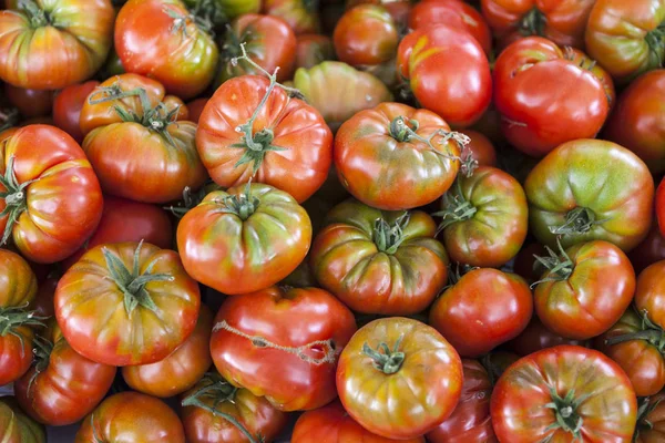 Fondo cualitativo de los tomates. Tomates frescos. Tomates rojos. Mercado del pueblo tomates ecológicos . —  Fotos de Stock