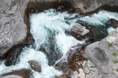 Dağ nehir, güzel dağ shoal su. Su boylayacağız. Dağ nehir, orman yeşil hızlı şelale