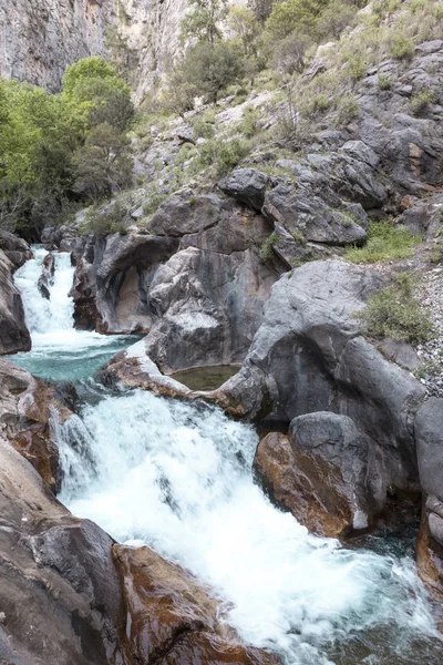 Rapidos de agua. Río de montaña, bosque verde cascada rápida . — Foto de Stock