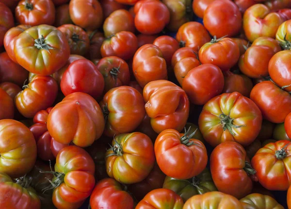 Tomates frescos. Tomates rojos. Mercado de pueblo de tomates ecológicos. Antecedentes cualitativos de tomates . —  Fotos de Stock