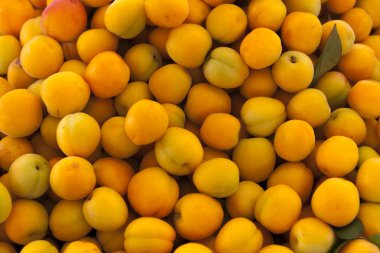 Olgun sulu çilek portre. Bir etiket reçel, berry reçeli, çilek suyu, meyve şarap için büyük arka plan